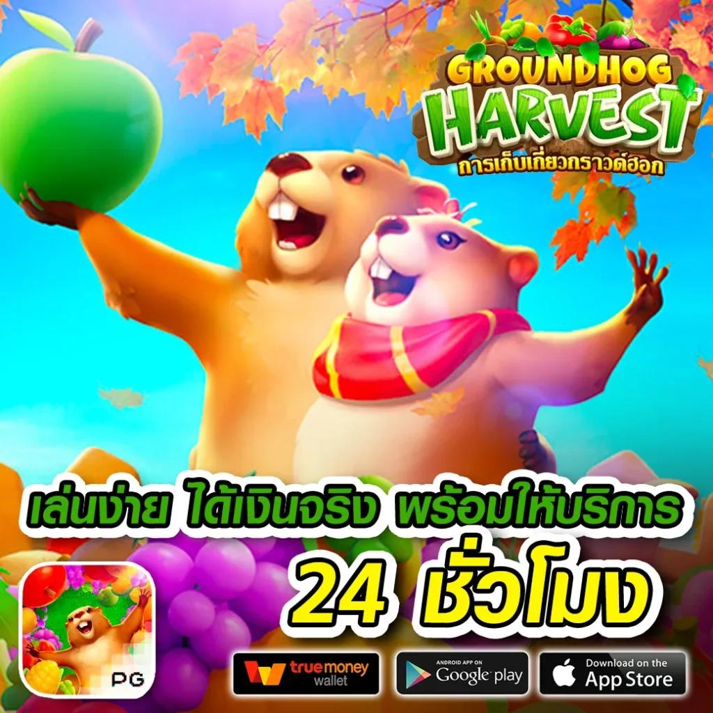 4King Slot คาสิโนออนไลน์มาแรง เล่นง่ายได้เงินจริง โปรโมชั่นพิเศษ