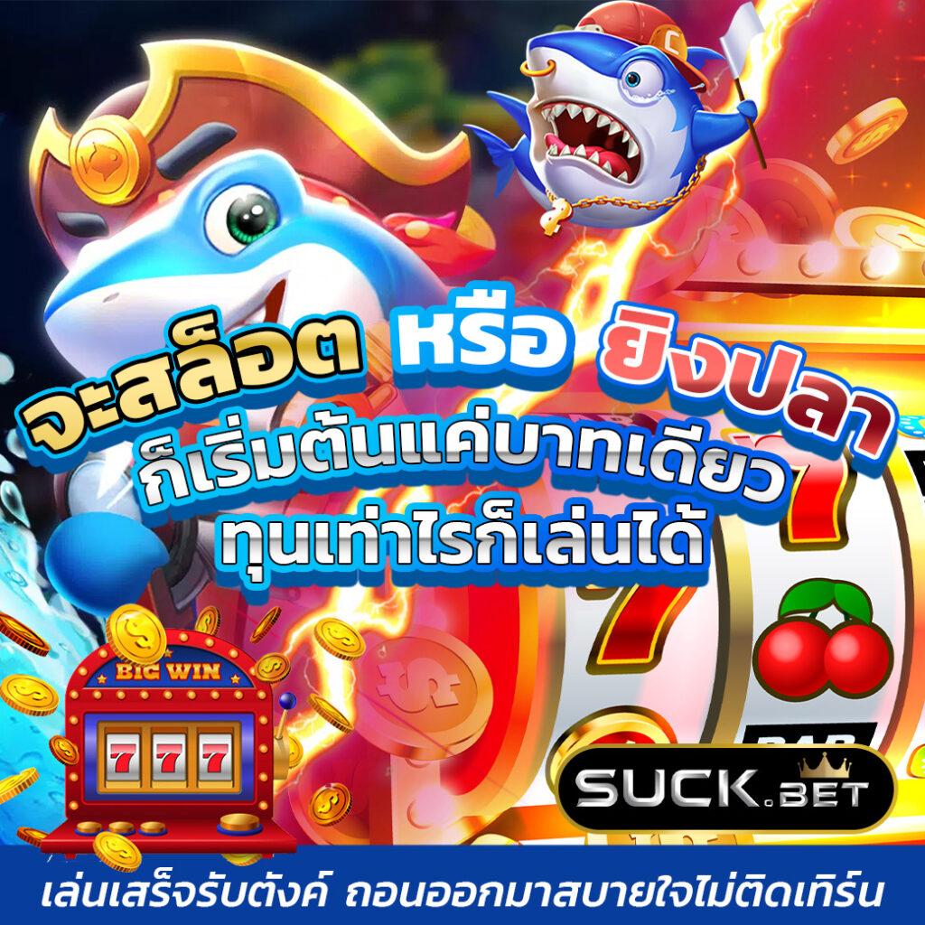 omg369win เว็บเดิมพันสุดเร้าใจ ค้นพบความสนุกไม่มีสิ้นสุด