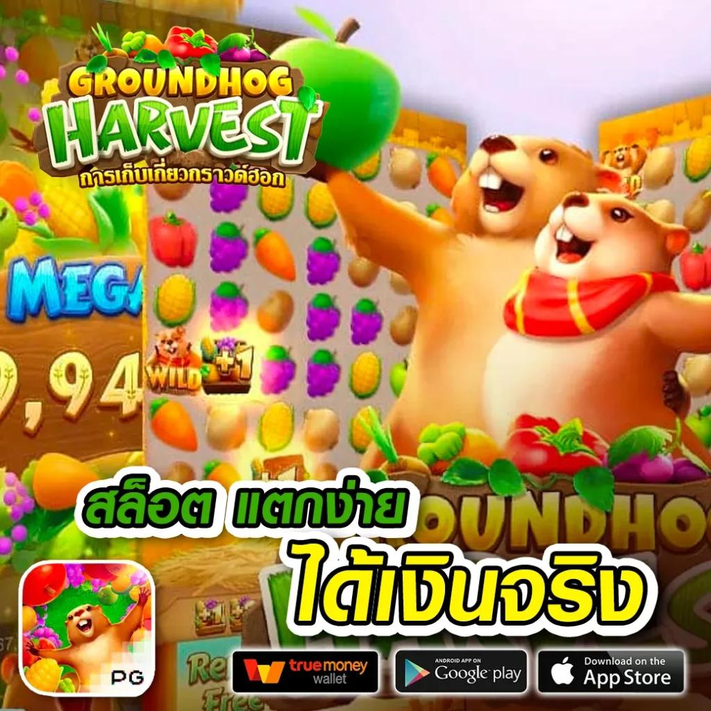 ผฃ คาสิโนอันดับหนึ่ง คาสิโนออนไลน์ ที่มีเกมหลากหลายและโบนัสจุใจ