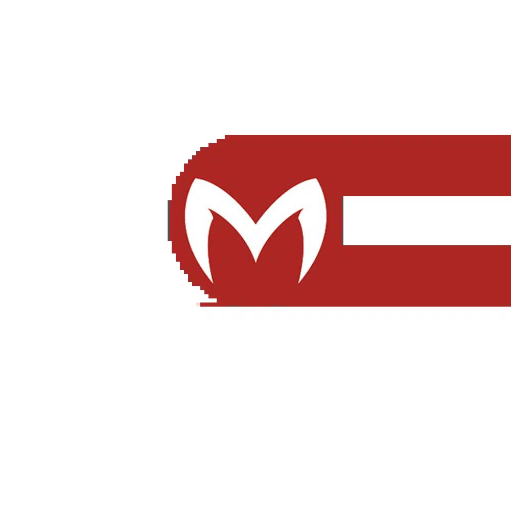 รวมเว็บ Betflix ศูนย์รวมเกมคาสิโนออนไลน์ยอดนิยมปี 2024